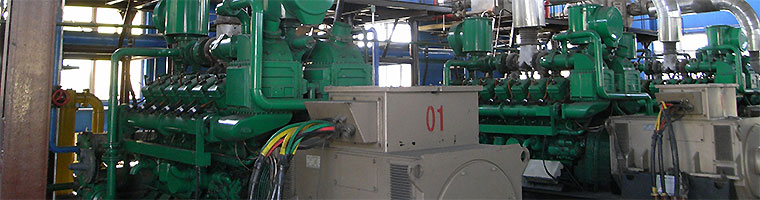 Engine for genset