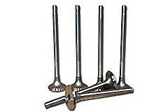 Exhaust Valve